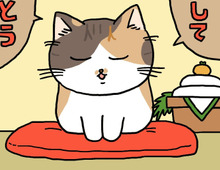 ミー子からごあいさつ。2026ver.【てらねこミー子の日常】