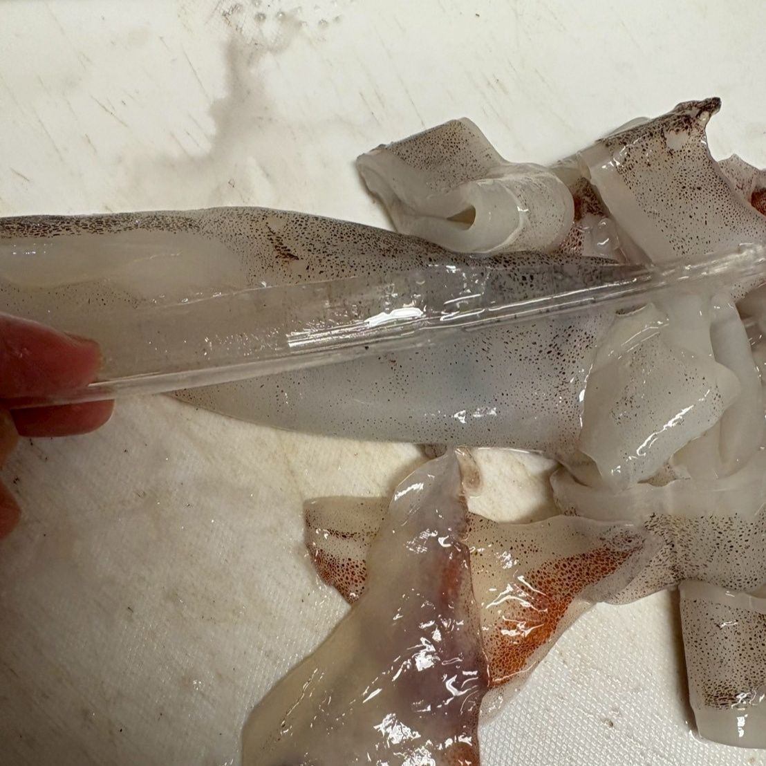 こんな透明でプラスティックの様な骨を抜きます。