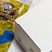 今や幻の！がつくかも！待っていたのはこれでした。ミャクミャク×優勝記念マグ