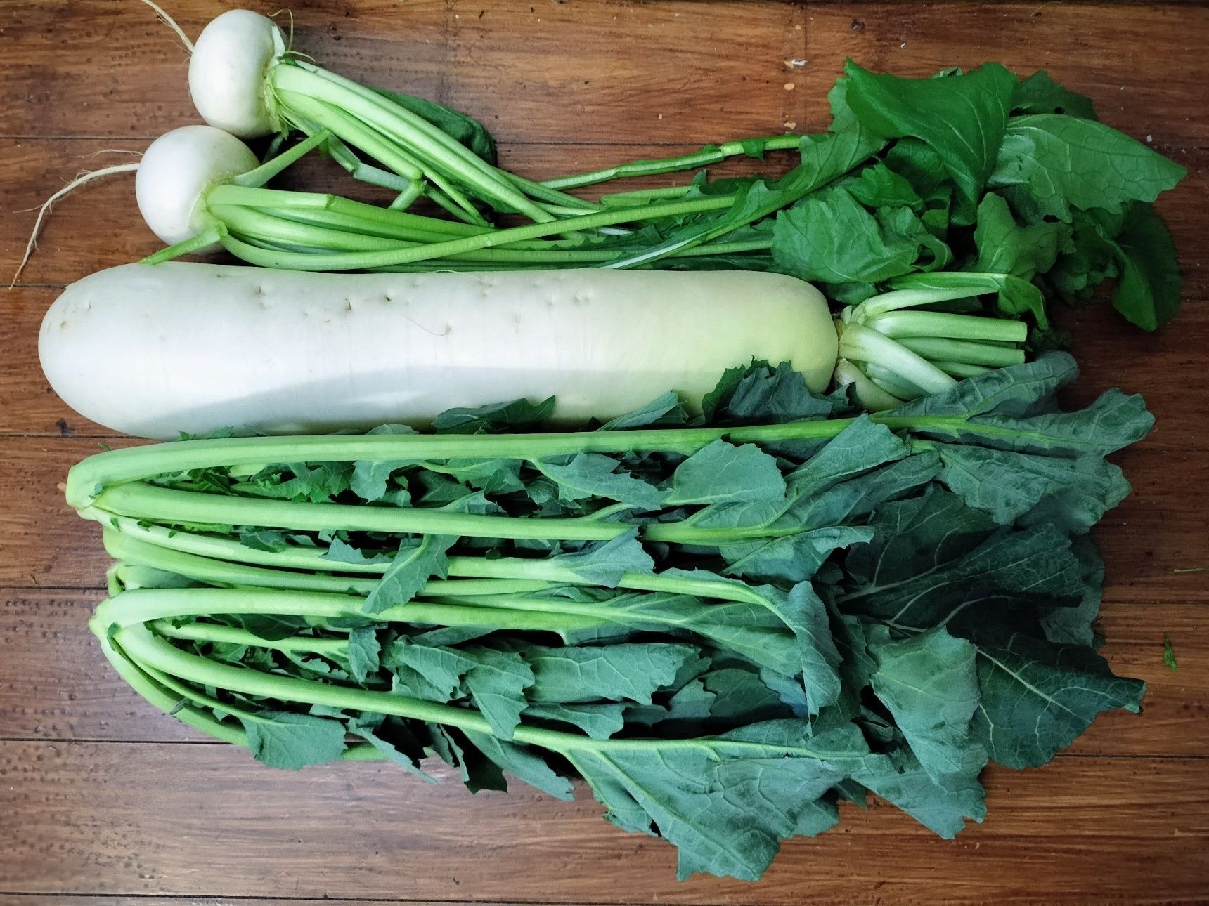 【野良坊菜（のらぼう菜）】