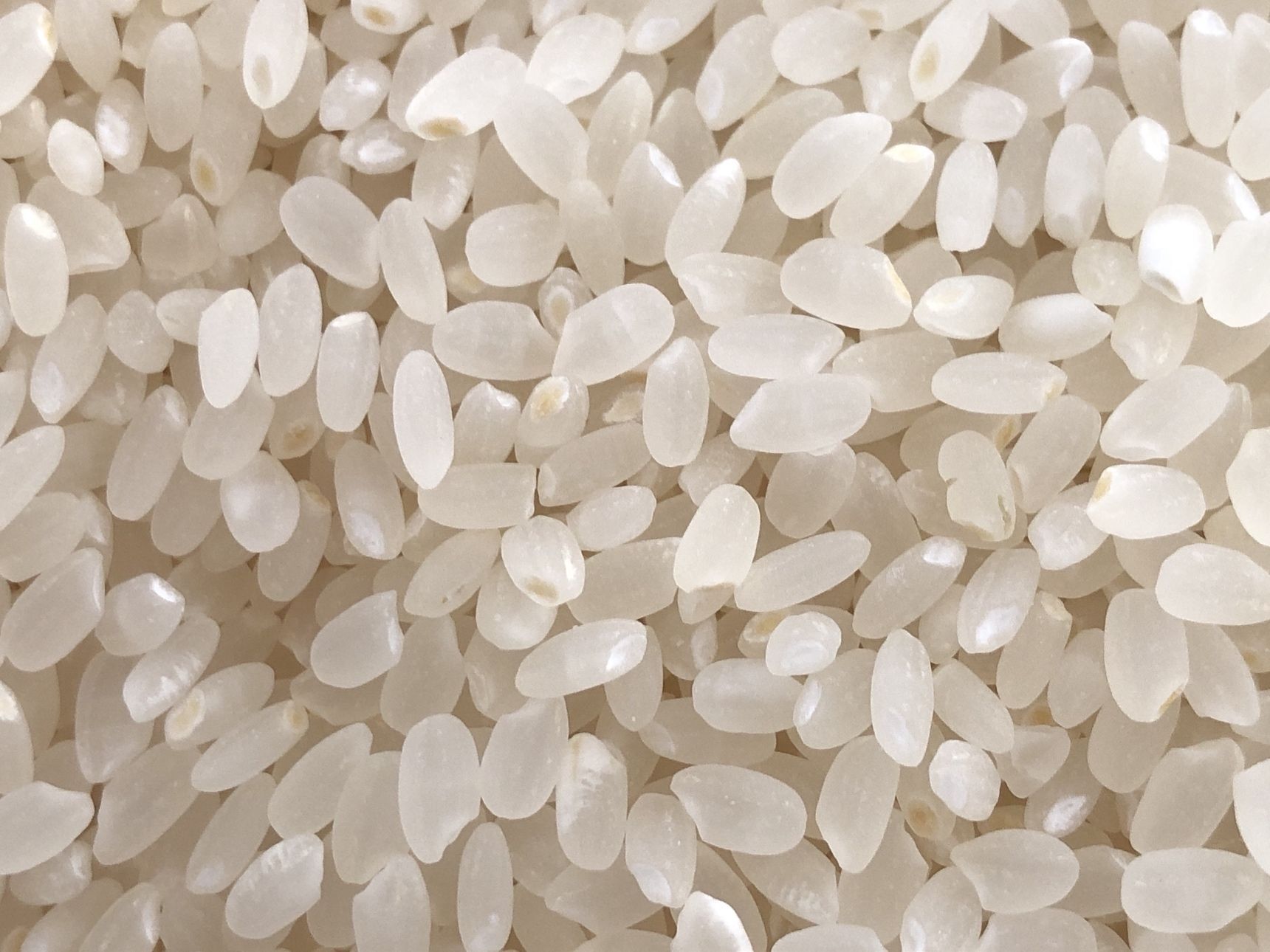 今回も綺麗なお米です