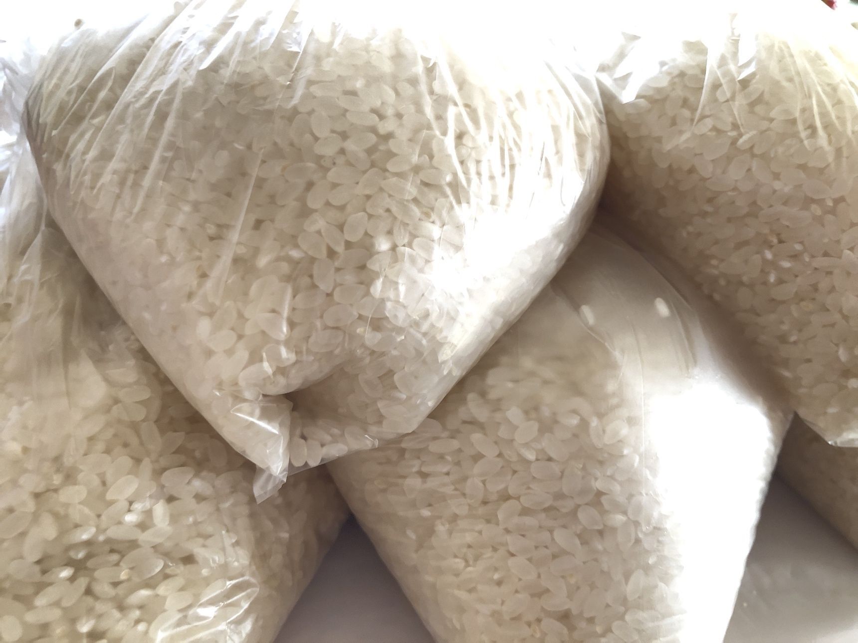 今回も小分けにして、野菜室に仕舞いました