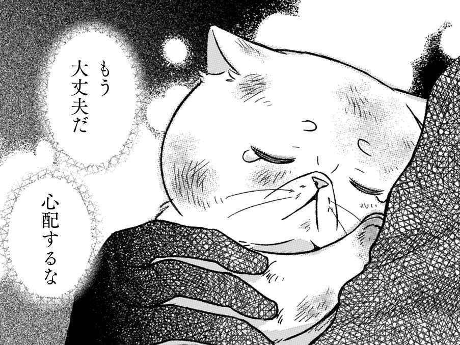 ボロボロになったブサ猫を助けてくれた"根暗騎士"。彼の正体はなんと…？【根暗騎士による溺愛満喫中のブサ猫、実は聖女です！#19】