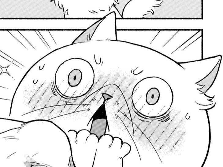 な、なんてことー！？初めて見たけどなんてキレイな体なの…！【根暗騎士による溺愛満喫中のブサ猫、実は聖女です！#20】