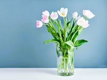 1月23日（金）今日はひっそり隠れたほうがいい不運日。ゼッタイに食べてはいけないモノがありますよ！