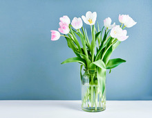 1月23日（金）今日はひっそり隠れたほうがいい不運日。ゼッタイに食べてはいけないモノがありますよ！