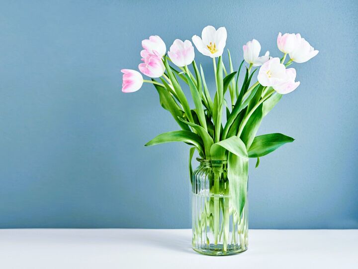 1月23日(金)今日はひっそり隠れたほうがいい不運日。ゼッタイに食べてはいけないモノがありますよ!