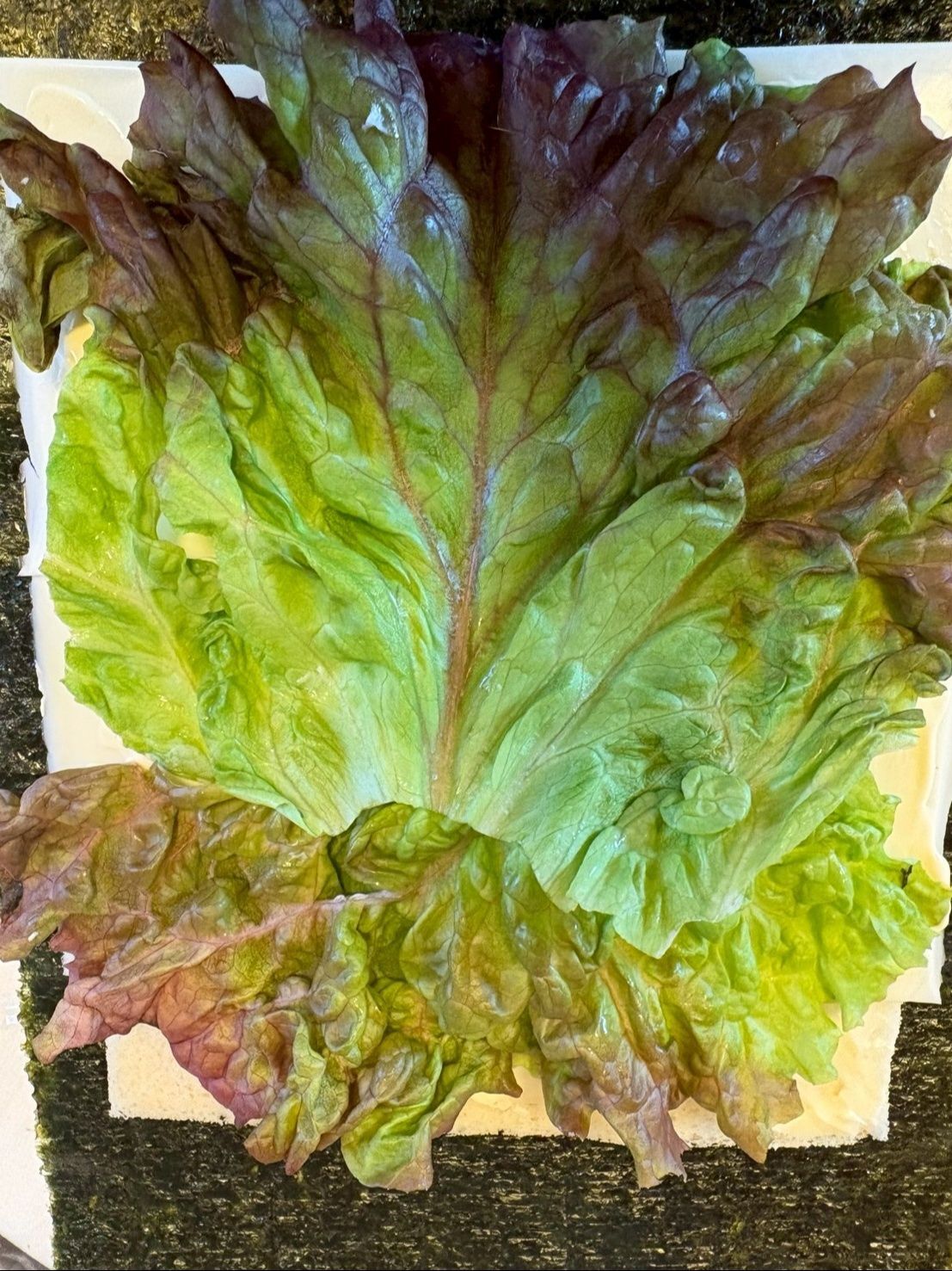 サニーレタスを乗せます