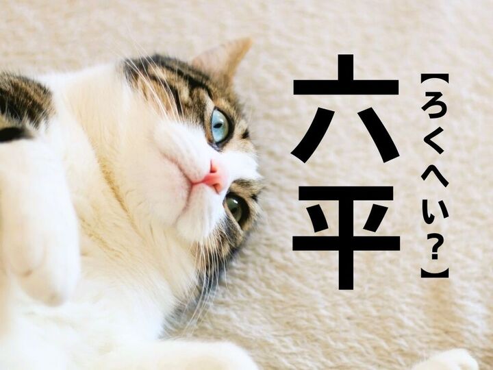 【六平】なんて読む?「ろくへい」ではありません!【難読苗字クイズ】
