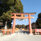 今ならゆっくりすごせる京都の穴場【上賀茂神社】