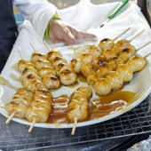 【これ食べて！！】観光の休憩に！焼き立てパリッとふわもち団子