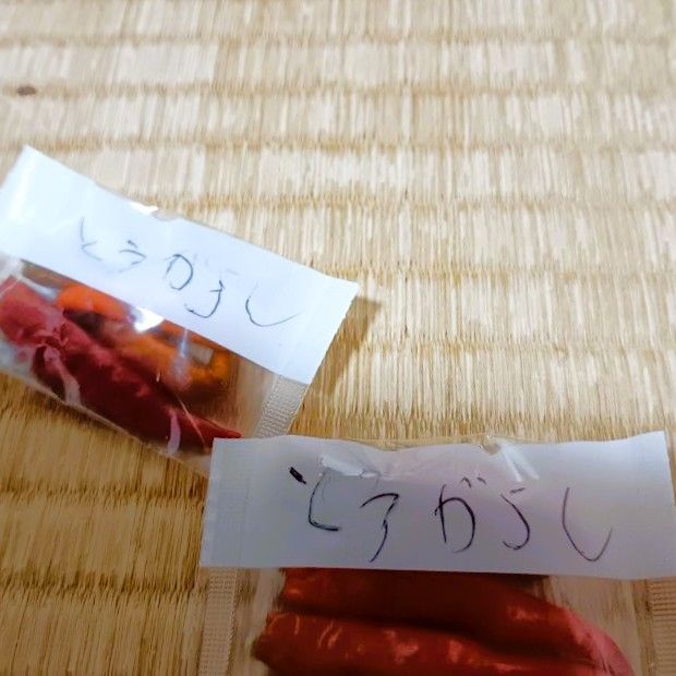 薬の袋は小袋に