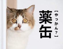 【薬缶】なんて読む？「やっかん」でも「くすりかん」でもありません！答えを知ると…「へ～～！！」が止まらない！！【読めそうで読めない漢字クイズ】