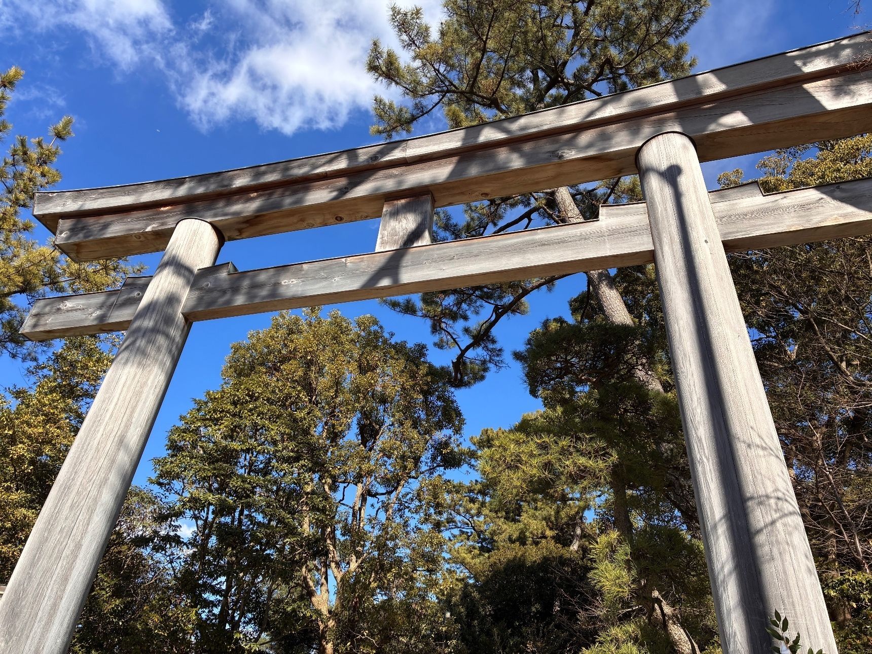 太鼓橋を渡り鳥居をくぐる