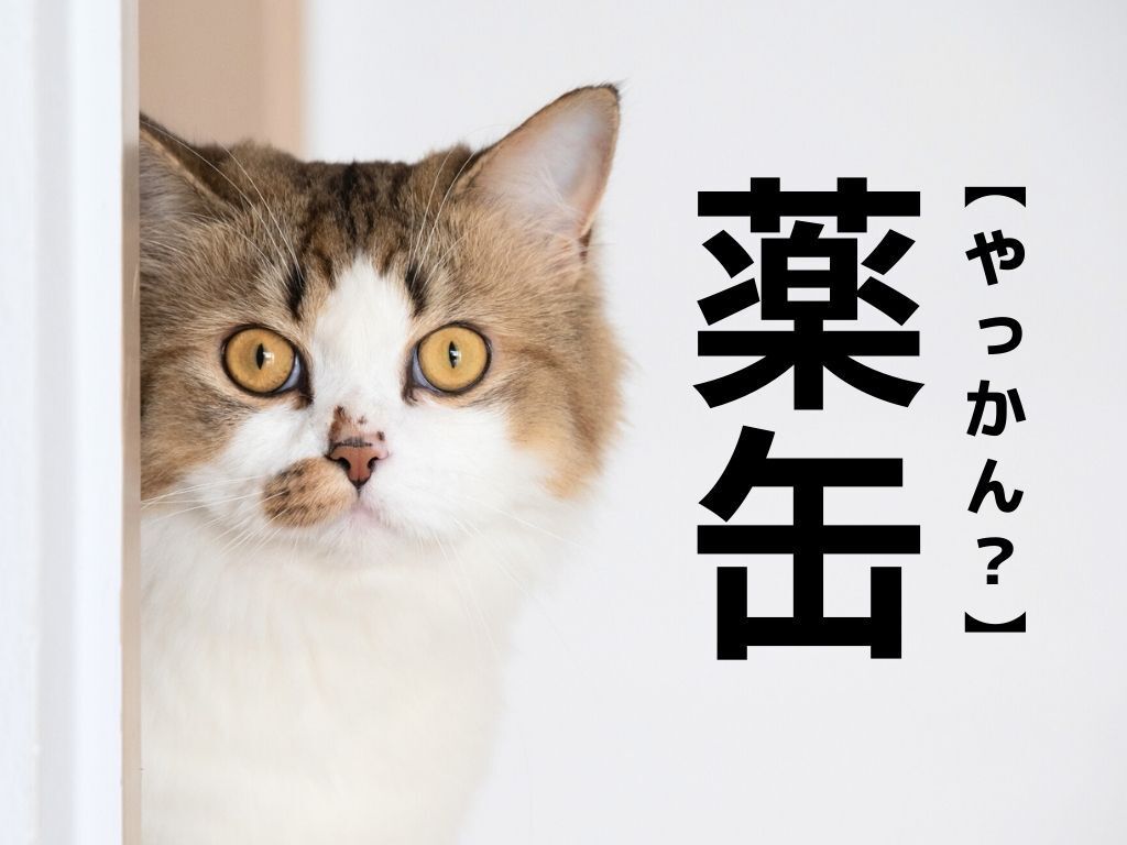 【薬缶】なんて読む？「やっかん」でも「くすりかん」でもありません【読めそうで読めない漢字クイズ】