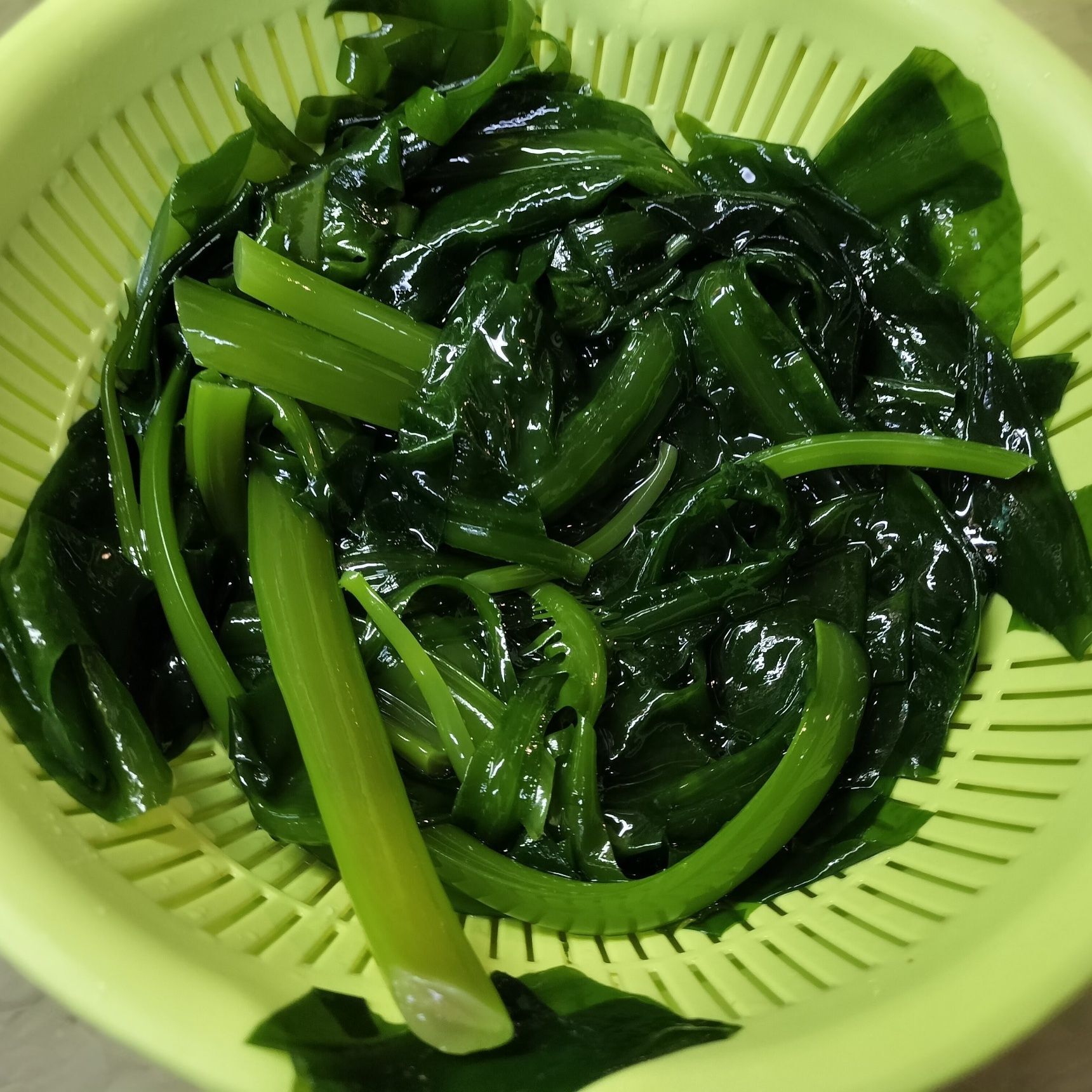 2．お鍋にお湯を沸かす→手順1の原藻を入れ、サッと湯通しする→原藻の色が茶褐色から鮮やかな緑色に変わったら、素早くザルにあけ、素早く流水で冷ます→しっかりと水気をきる→食べやすい大きさに切る