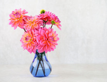 1月30日（金）今日はすべてに自信をもってOKの超ラッキーデー！幸運を逃さないために心がけてほしいのは…コレ！