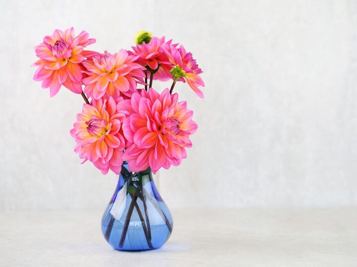 1月30日(金)今日はすべてに自信をもってOKの超ラッキーデー!幸運を逃さないために心がけてほしいのは…コレ!