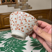 欲しい！理想のお茶碗が見つかりました