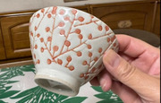 欲しい！理想のお茶碗が見つか...