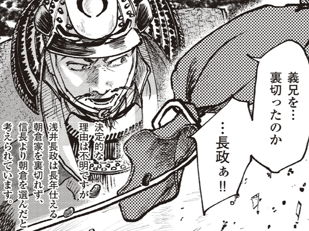 同盟は一夜で崩れた!浅井家の裏切りが豊臣兄弟にもたらしたものとは!?【ミスター武士道の大河読み】