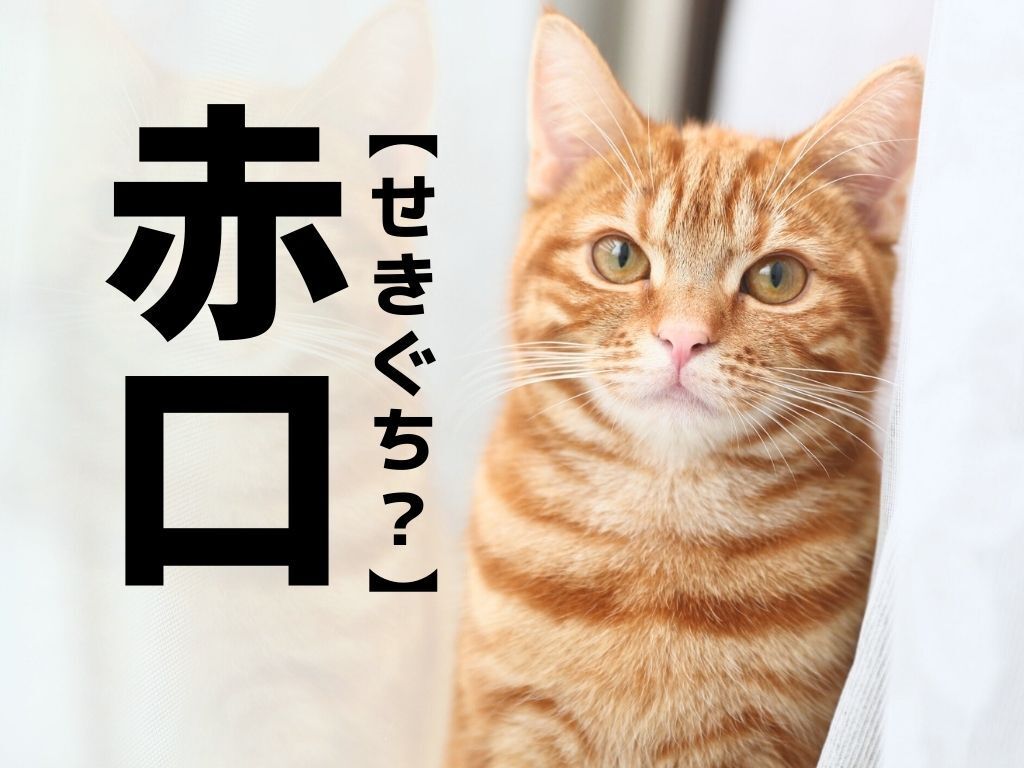 カレンダーでよく見る【赤口】なんて読む？「せきぐち」ではありませんよ！【読めそうで読めない漢字クイズ】
