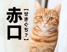 カレンダーでよく見る【赤口】なんて読む？「せきぐち」ではありませんよ！【読めそうで読めない漢字クイズ】