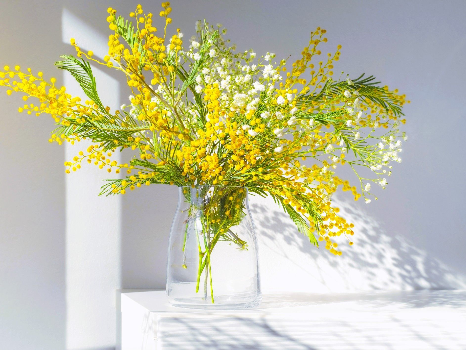 【2月の幸運日カレンダー】2月の〈幸運日〉は後半に集中！〈気をつけたい日〉もしっかりチェック