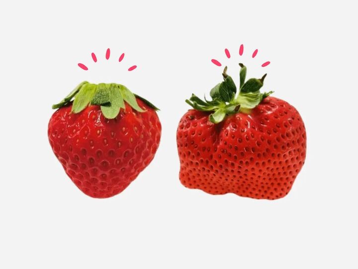 甘いのはどっち?美味しい『いちご』の選び方。正解のパックを選べるようになりますよ♪