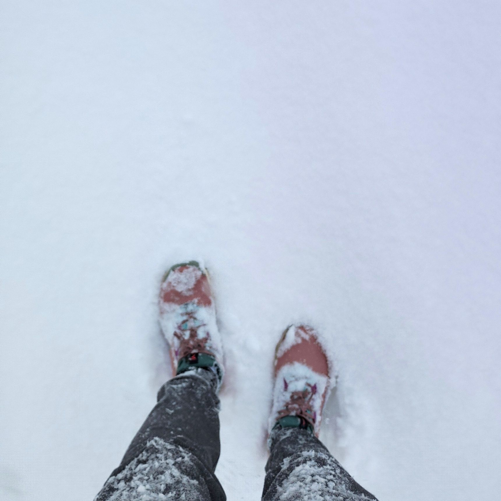 こんなところに住んでます・・