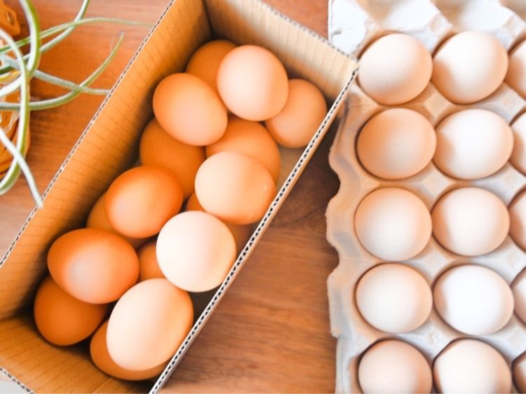 こだわりたまご！田中農場さん