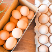 こだわりたまご！田中農場さん