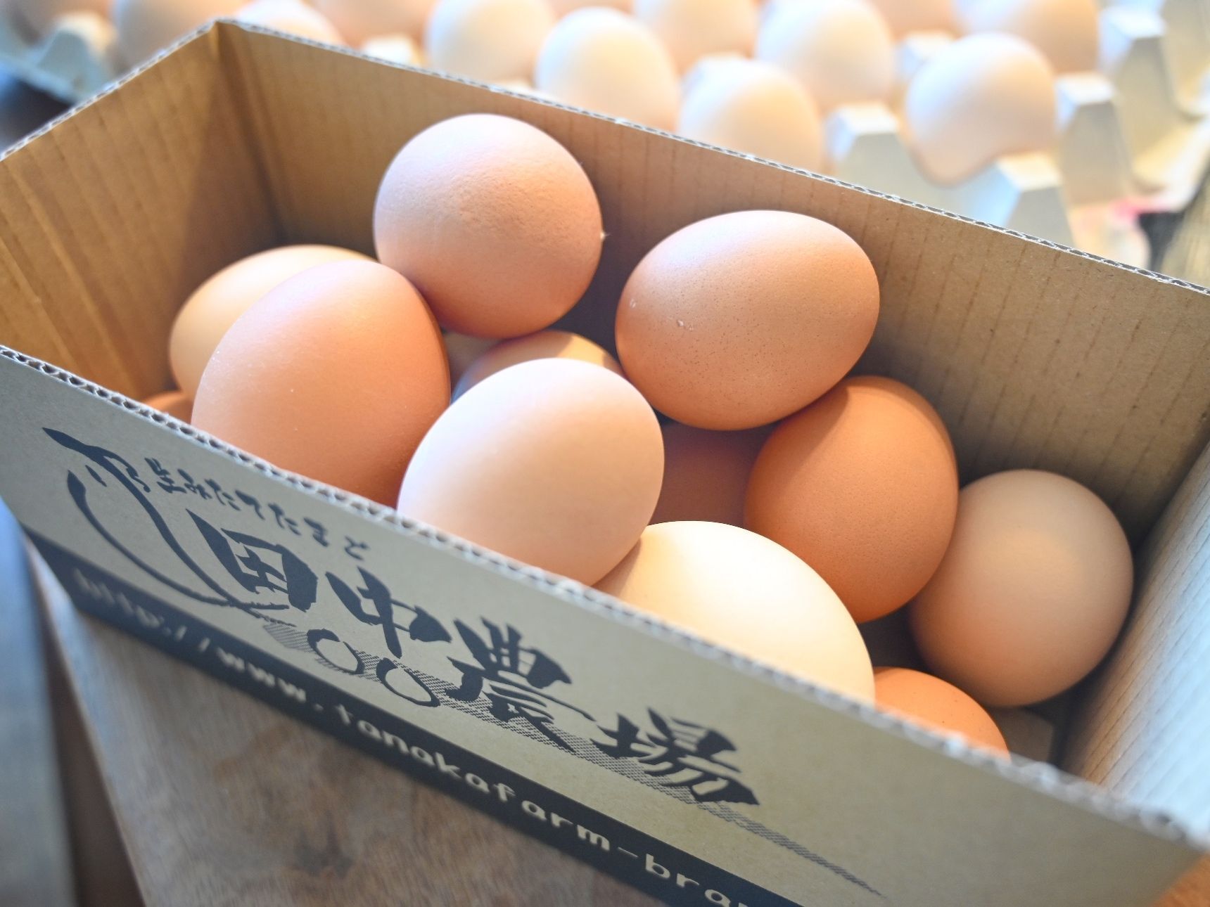 新鮮なたまごは表面がざらざら