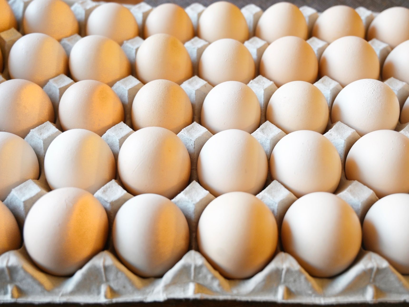 無洗卵へのこだわり