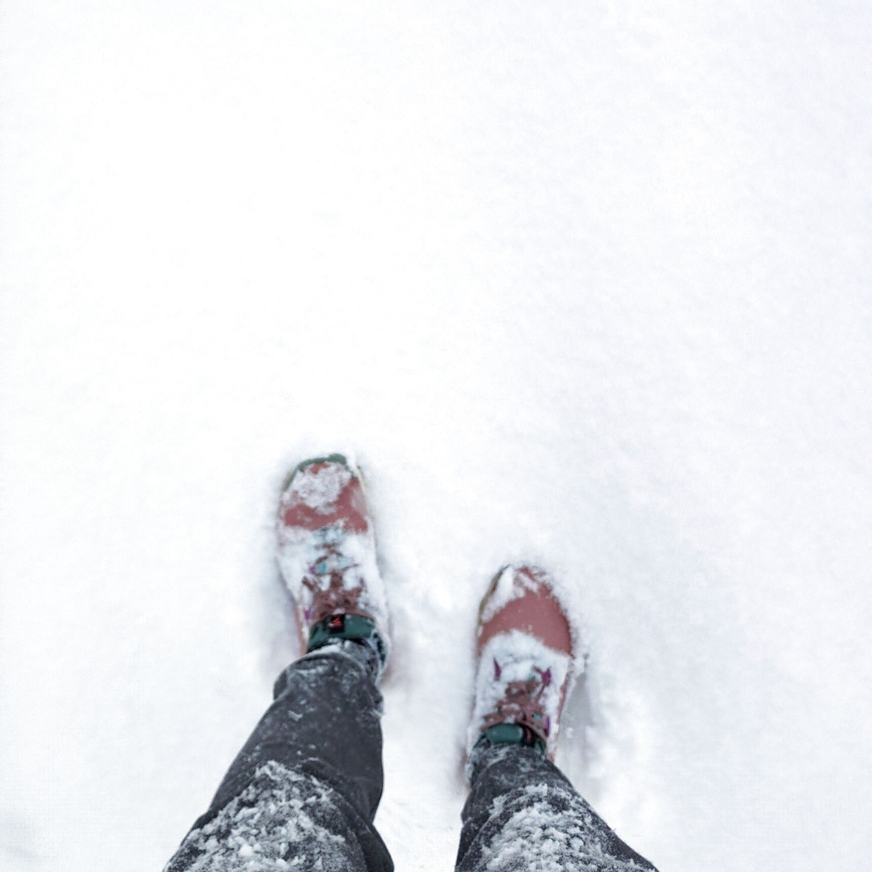 こんなところに住んでます・・