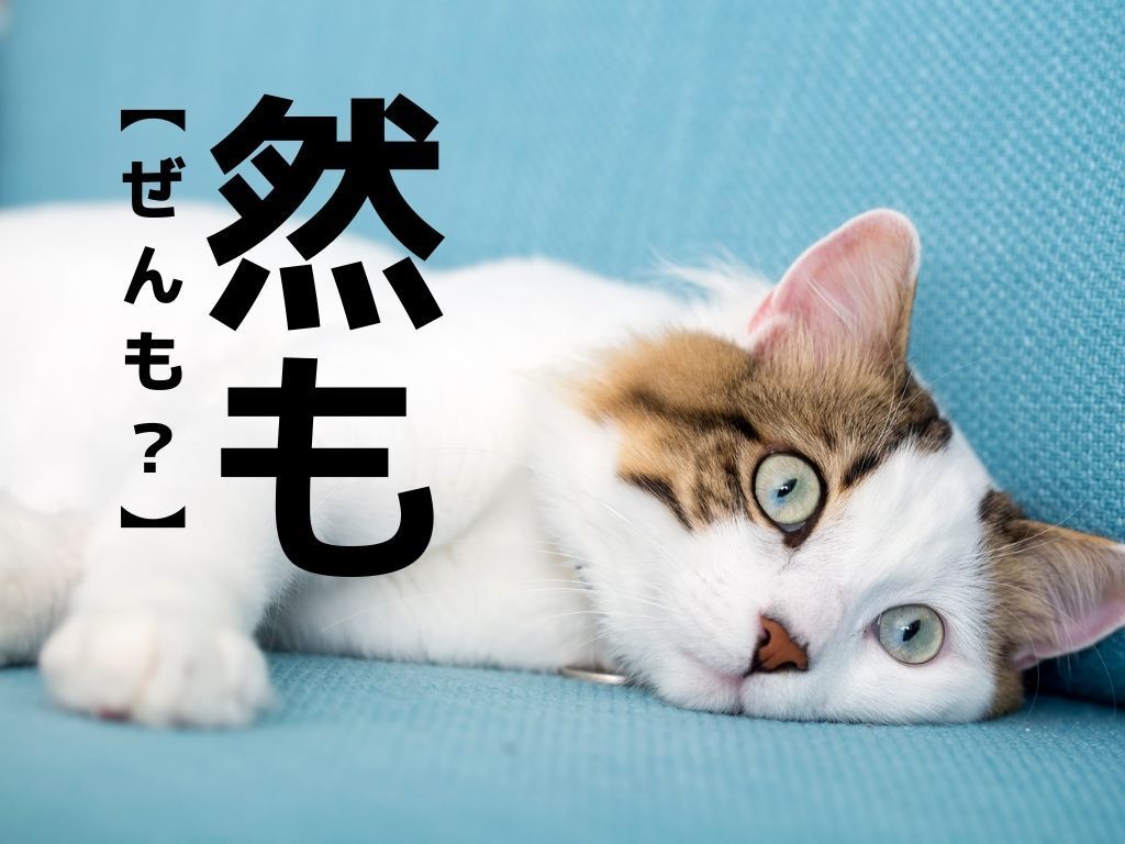 【然も】の読み方、知ってる？もちろん「ぜんも」ではありません！【読めたらスゴイ！漢字クイズ】