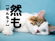 【然も】の読み方、知ってる？もちろん「ぜんも」ではありません！【読めたらスゴイ！漢字クイズ】