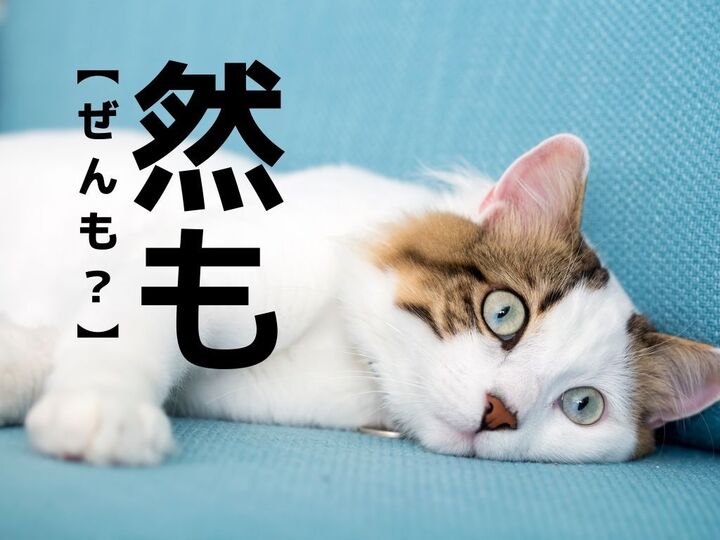 【然も】の読み方、知ってる?もちろん「ぜんも」ではありません!【読めたらスゴイ!漢字クイズ】
