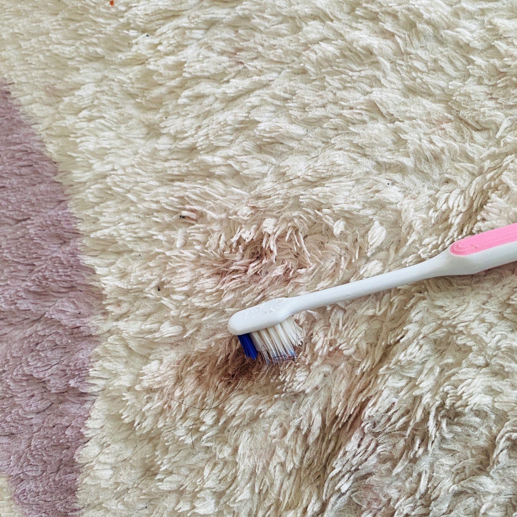 後回しにしがちな点在するカーペットのシミ！どうやって落とす！