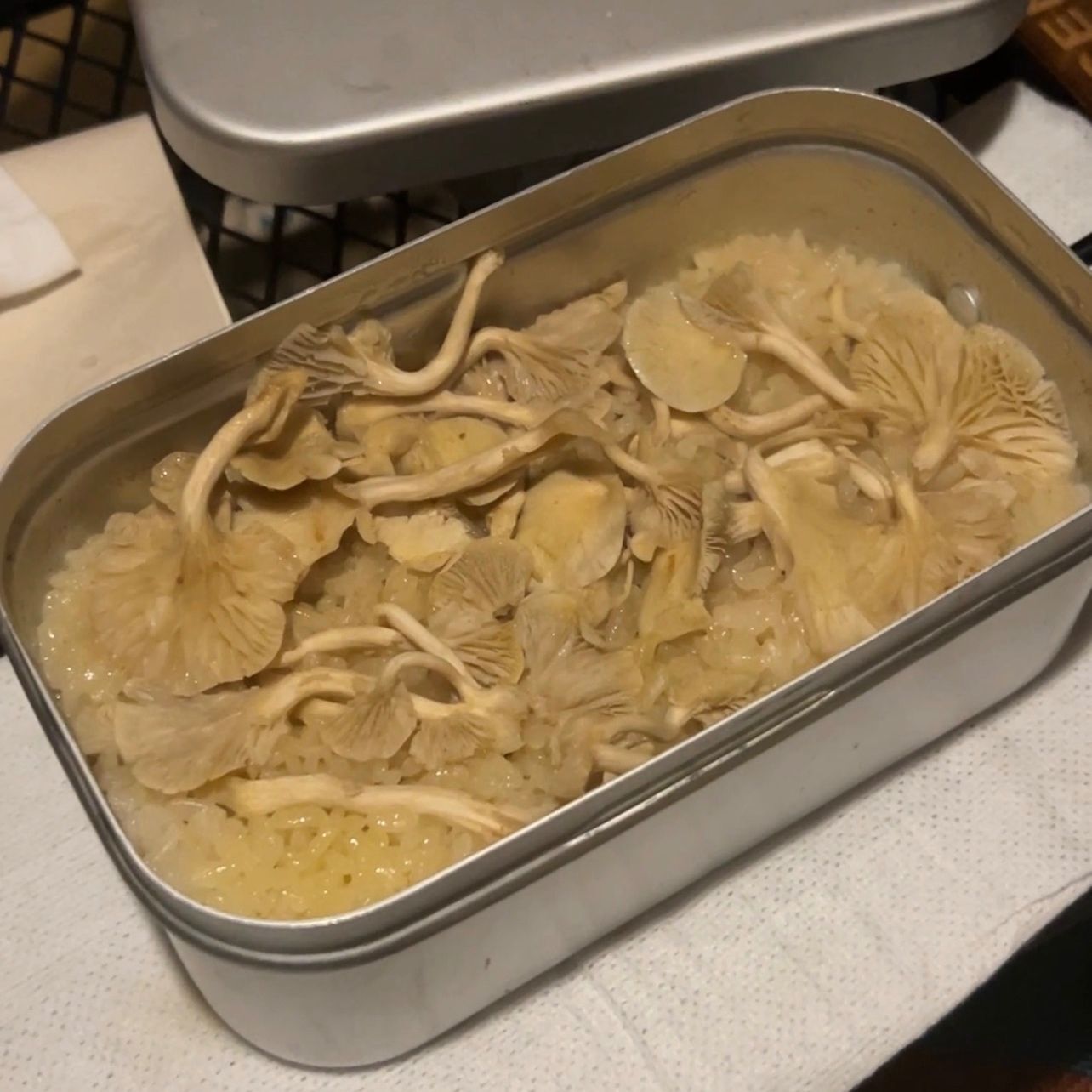 〈キャンプ飯〉メスティンでキノコご飯