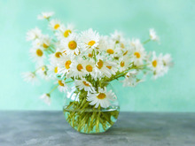 2月8日（日）今日は多くの恩恵を受けられるハッピーデー！この日から始めるといいことがありますよ♪