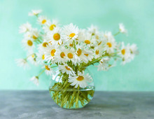 2月8日（日）今日は多くの恩恵を受けられるハッピーデー！この日から始めるといいことがありますよ♪