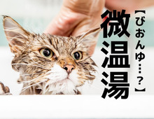 【微温湯】なんて読む？「びおんゆ」ではありませんよ。答えを知ると…なるほどね～！！【読めそうで読めない漢字クイズ】