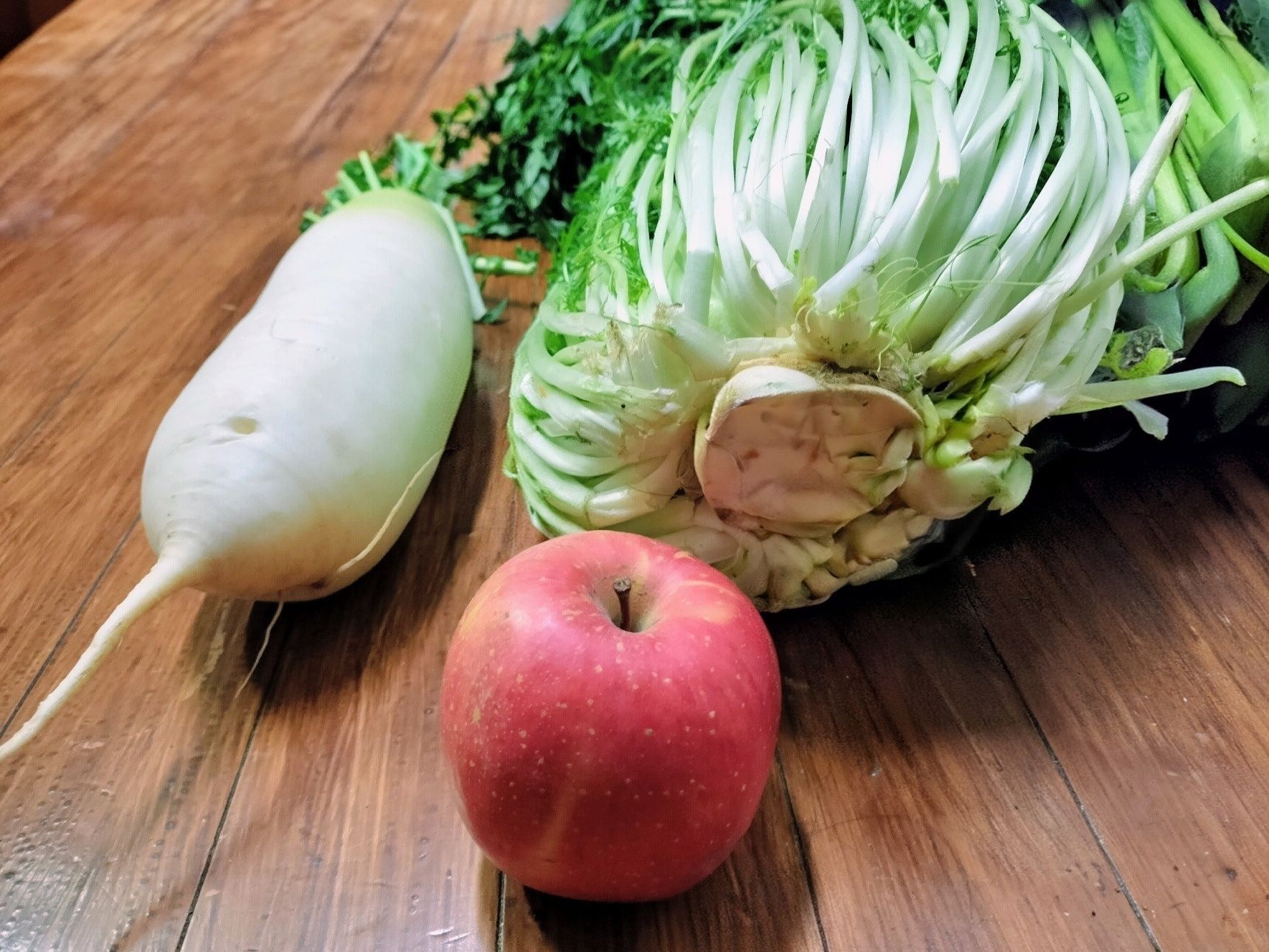 【巨大な京菜】