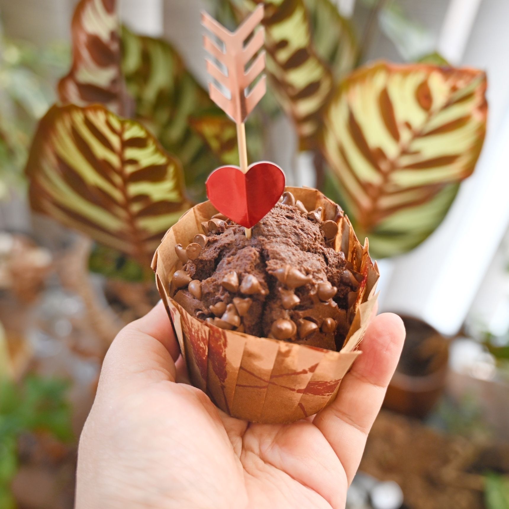 可愛いピックで飾ってみました