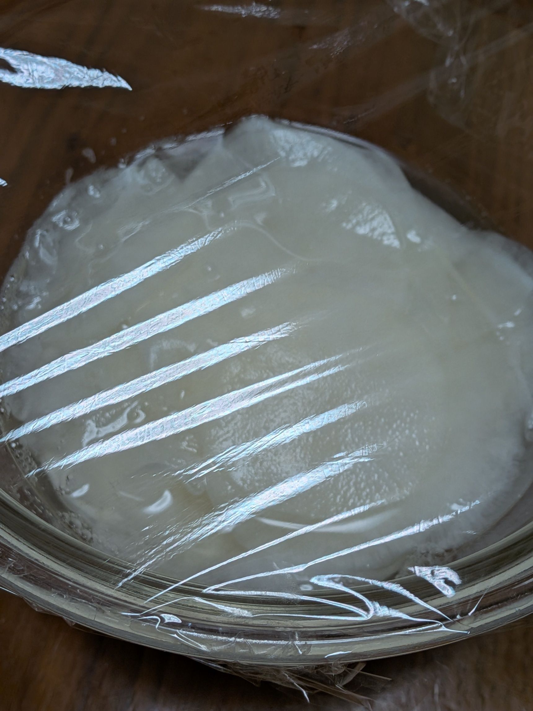 3．一晩程度おく。