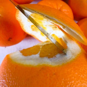 簡単にできる＜オレンジママレード＞