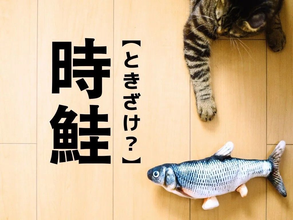 【時鮭】なんて読む？「トキザケ」ではありません！風流な由来があるんです【読めそうで読めない漢字クイズ】