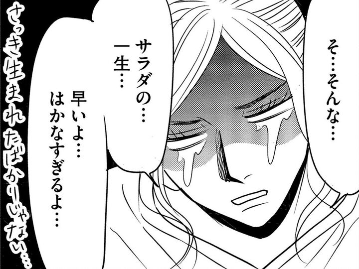 どうしてこんなことに…!?早すぎる"一生"に涙がこぼれて止まらない…!【すみれ先生は料理したくない #23】