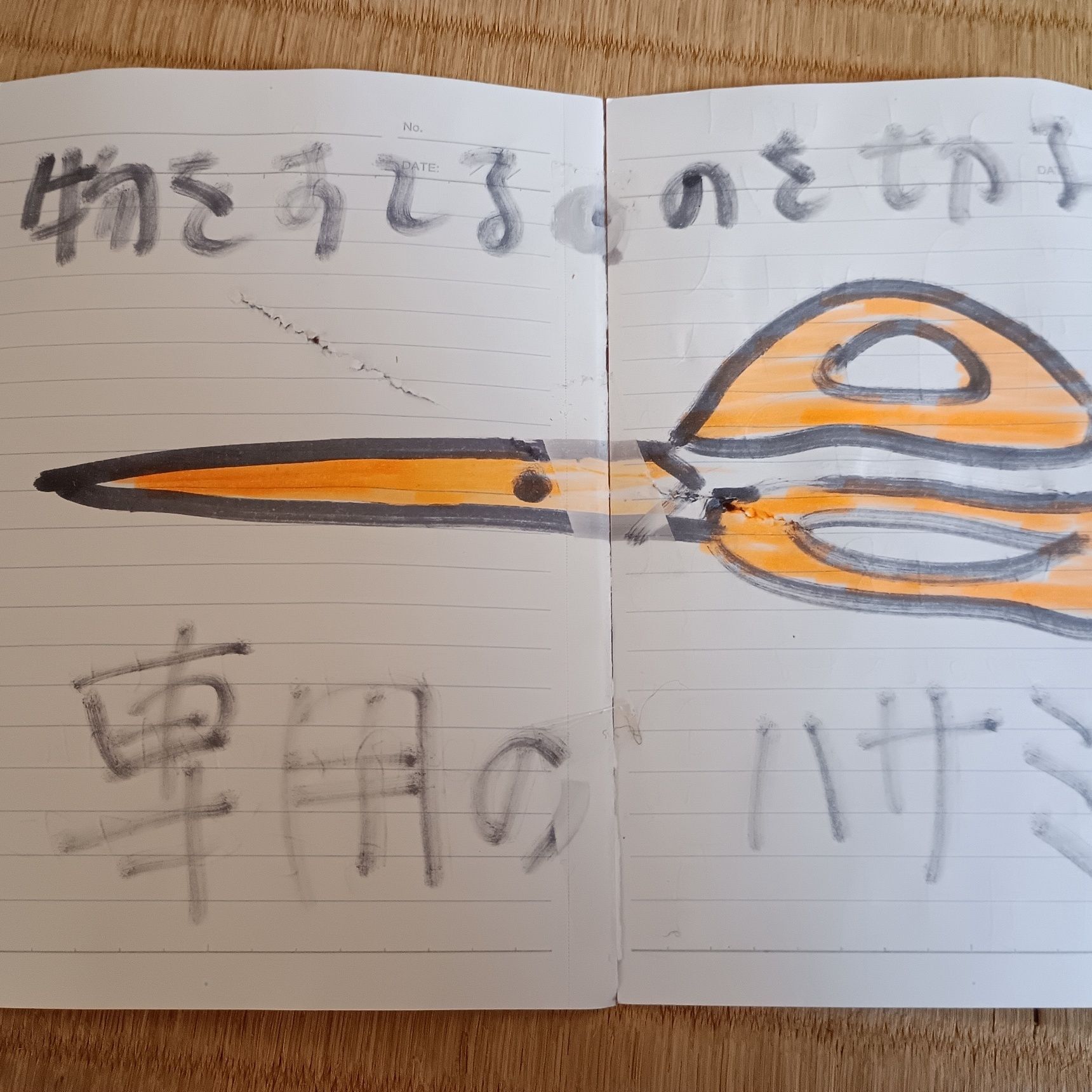 物を捨てるのを切る専用のハサミ